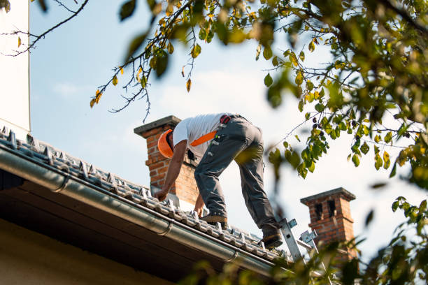 Best Storm Damage Roof Repair  in Barneveld, WI